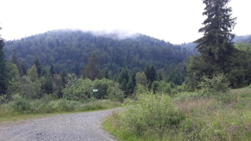 109663647 284997602604249 8263910356097245188 n