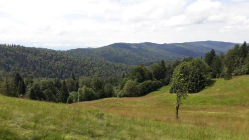 109695446 1626733810819191 5608031379786675227 n