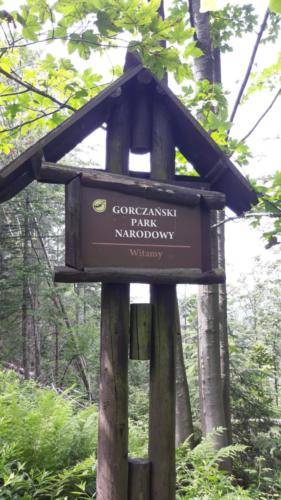 109740408 610313329915509 3988951294317706021 n