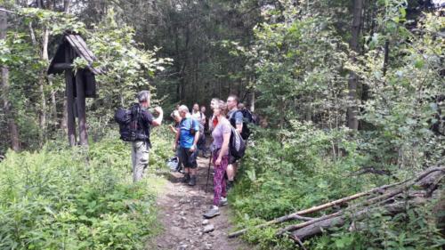 109925308 880377655791112 8309657941649090559 n