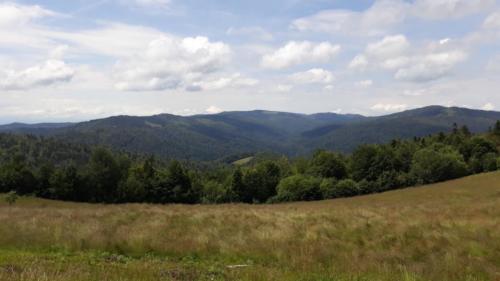 109926560 2759244214291917 9067961321861152232 n