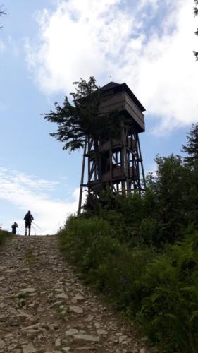 109941046 232792944367035 1437586221481171487 n