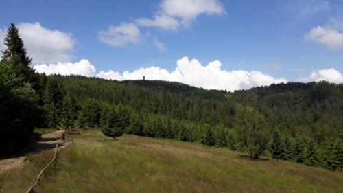 109967664 337230561011833 5592818581444001716 n