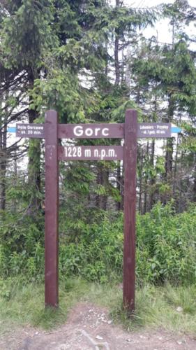 110197821 3129709843731158 6091898414750464046 n