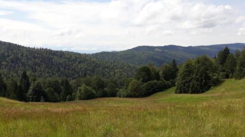 110203564 758264471413227 136861699505523928 n