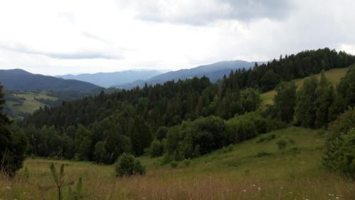 110253708 2464793397144643 4392189124192758281 n