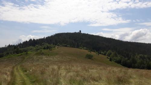 110287869 1702157933292059 3573732006261914852 n