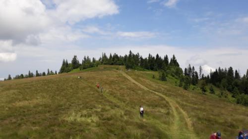 110336332 299478804823748 5835731707472605513 n