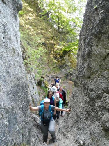 31919554 594072600952815 5397473177406275584 n