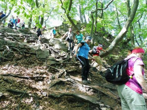 31928673 594072524286156 5383298127472099328 n