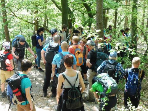 31939764 594073720952703 1278111069616734208 n