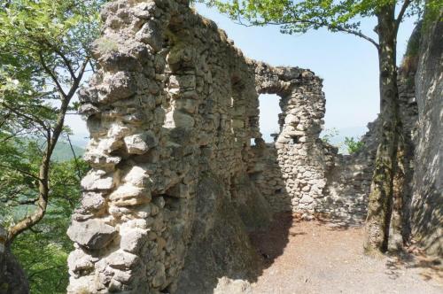 31944349 594073324286076 4534007128242782208 n