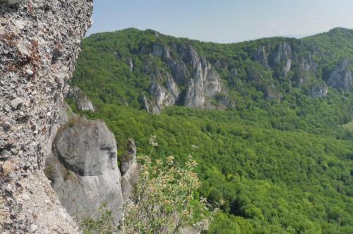 31946115 594073787619363 6339311577879019520 n