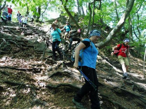 31948260 594072564286152 7763796034886565888 n