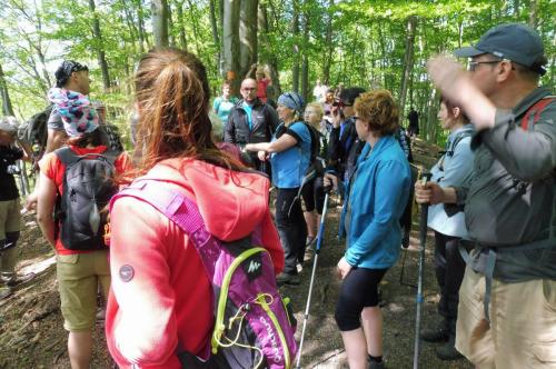 31948963 594072734286135 4840261394781700096 n (1)