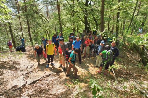 31949688 594073737619368 3471821184335609856 n